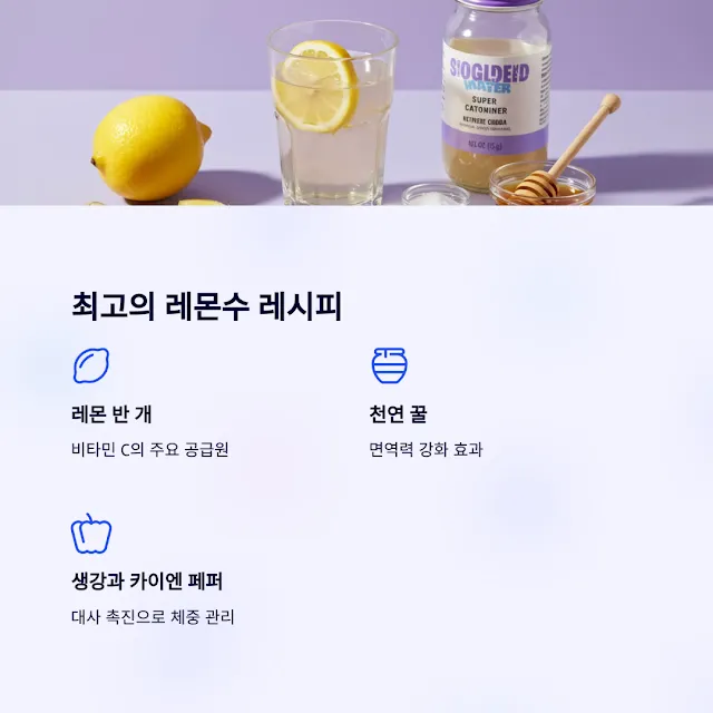 레몬수 효과 3배 높이는 비법
