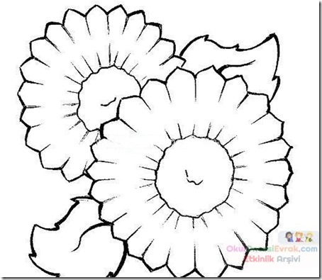 flore sencillas para colorear  (14)