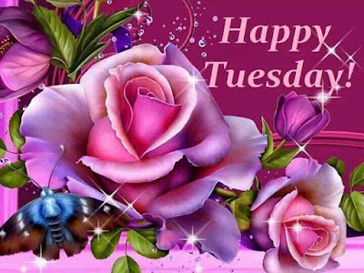 good morning happy Tuesday images Download