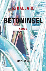 Betoninsel (Literatur)