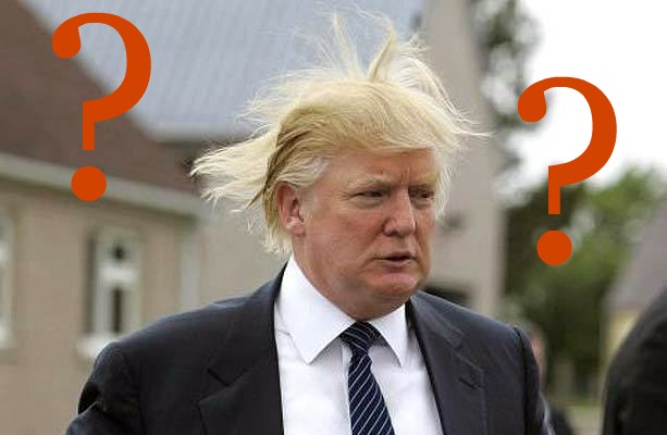 donald trump bad hair day. donald trump hair.