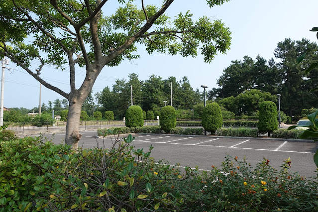 海浜運動公園キャンプ場