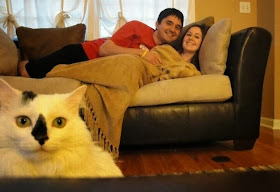 Funny cats - part 85 (40 pics + 10 gifs), cat photobomb couple picture