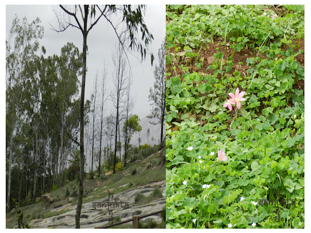 hued, Nandi Hills