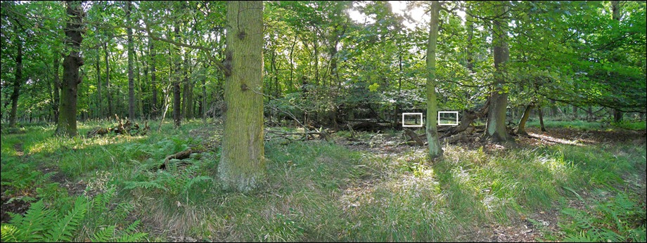 Panorama1