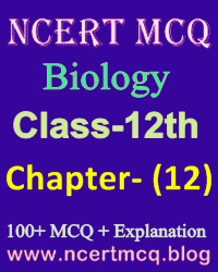 Biology MCQ, Class-12, Chapter-12, Ecosystem