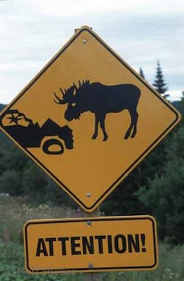 Funny road signs