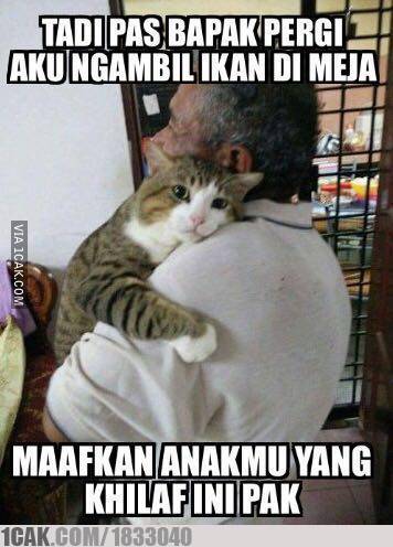 13 Meme 'Kucing' Ini Lucu Banget Bikin Gemes Campur Ngakak 