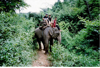 Safari en elefante por las montañas, Chiang Rai