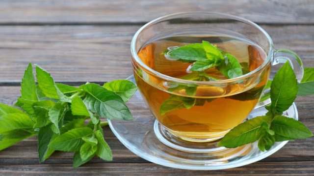 Amazing mint benefits for weight loss.