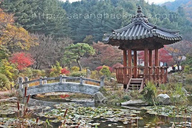 one of the interesting displays at the garden of the morning calm