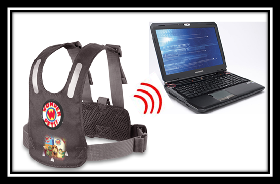 WIRELESS HARNESS