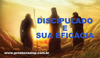 www.prnatanaelsp.com.br