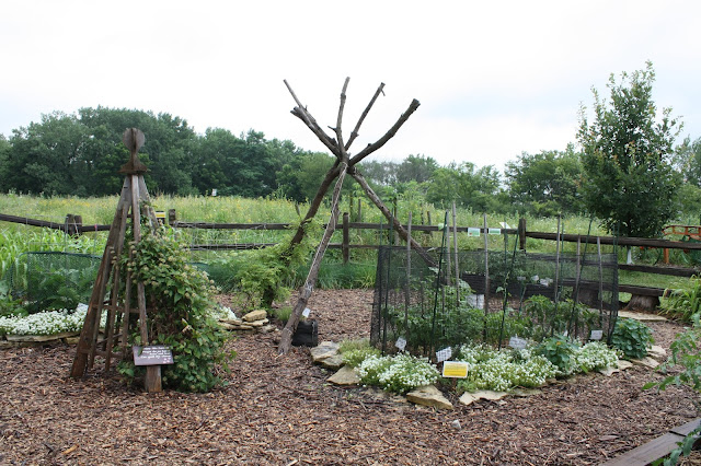 Learning garden at Lake Katherine