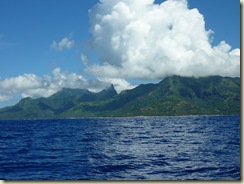 P1000535