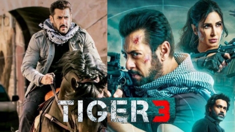 Tiger 3 movie