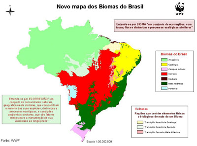 Biomas - Os Principais Ecossistemas Brasileiros 