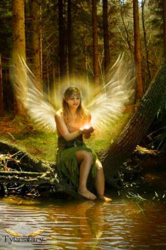 Daily Message January 12 2012