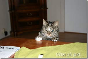 Mitzi 038