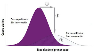 Curva epidémica