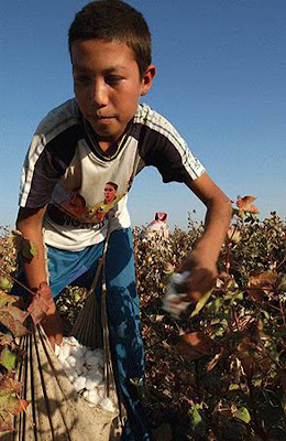 Photos Сotton-picking