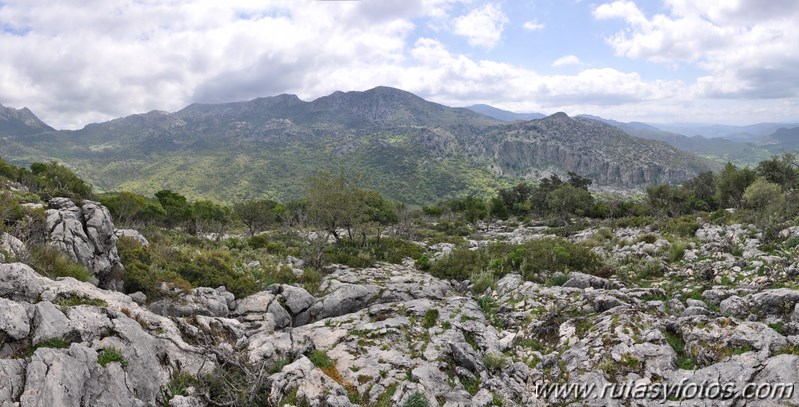 Llanos del Campo - Tesorillo - Cerro del Granadillo - Cerro de las Cuevas - Llanos del Berral