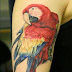 Parrot 3D Style Tattoo on Women Sleeve