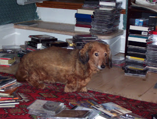 Reese amongst the CDs