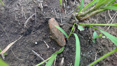 古墳時代後期のものと考えられる管状土錘