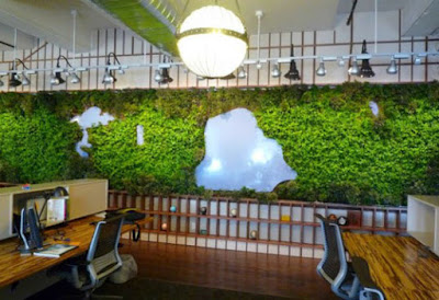 Ý tưởng cho thiết kế vườn cây trên tường