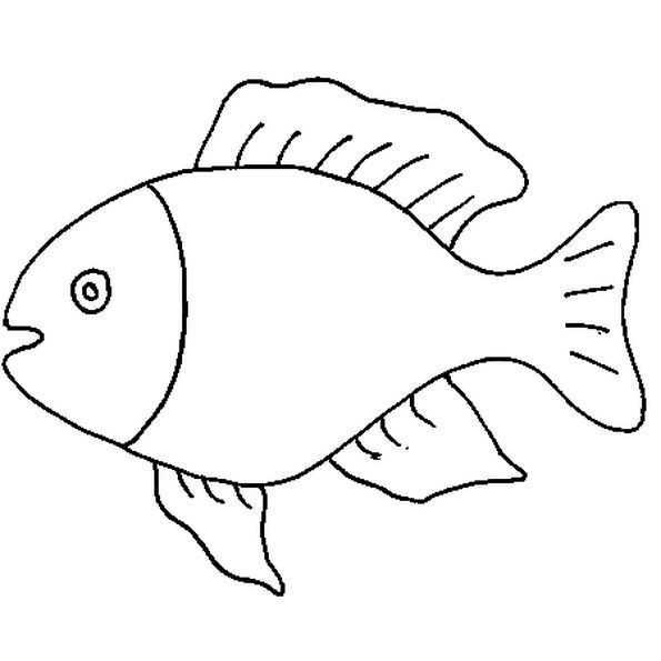 sketsa gambar ikan