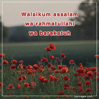 walaikum assalam