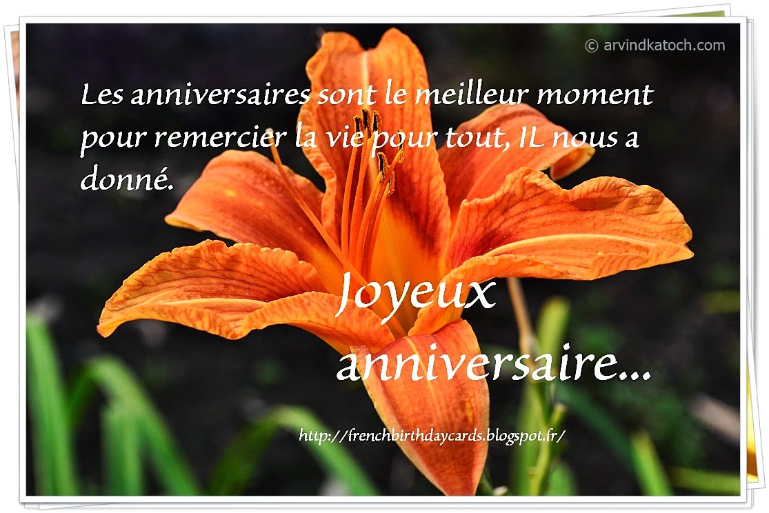 life, french birthday card, lily flower, flower card,