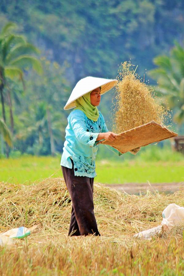 Soalan soalan Latihan Bahasa Malaysia Kertas Model 4 