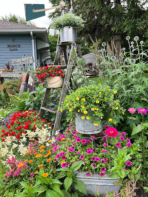 Photo of my junk garden front yard border.