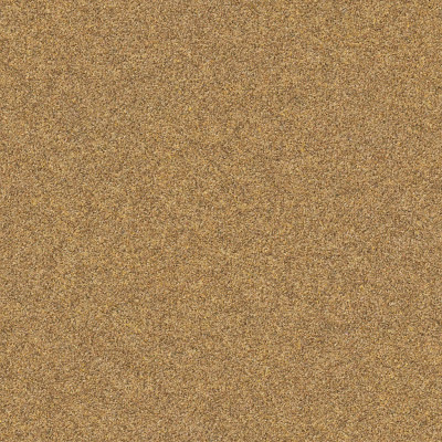 Dirt Texture