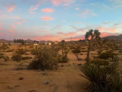 Sequoia National Park Camping & Joshua Tree National Park