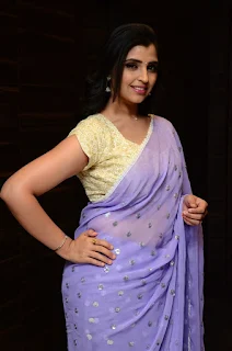 Shyamala saree pics at 30 Rojullo Preminchadam Ela Movie Thanks Meet