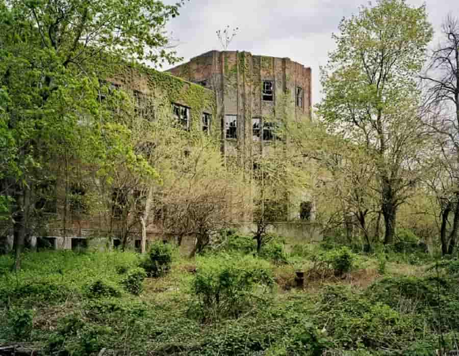 Ghosts of the Abandoned: North Brother Island's Mysterious Past Revealed