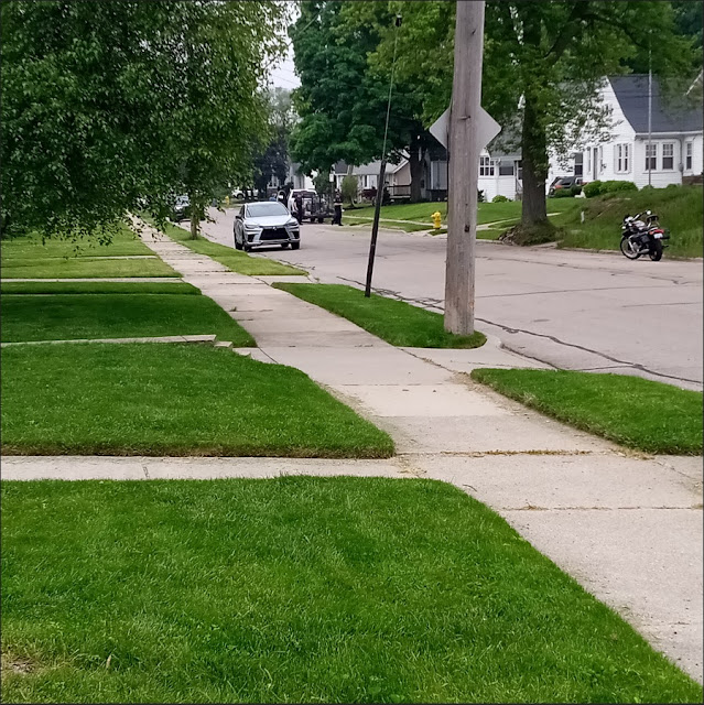 residential street with lawn service man talking to 2 police about shouting with nextdoor person
