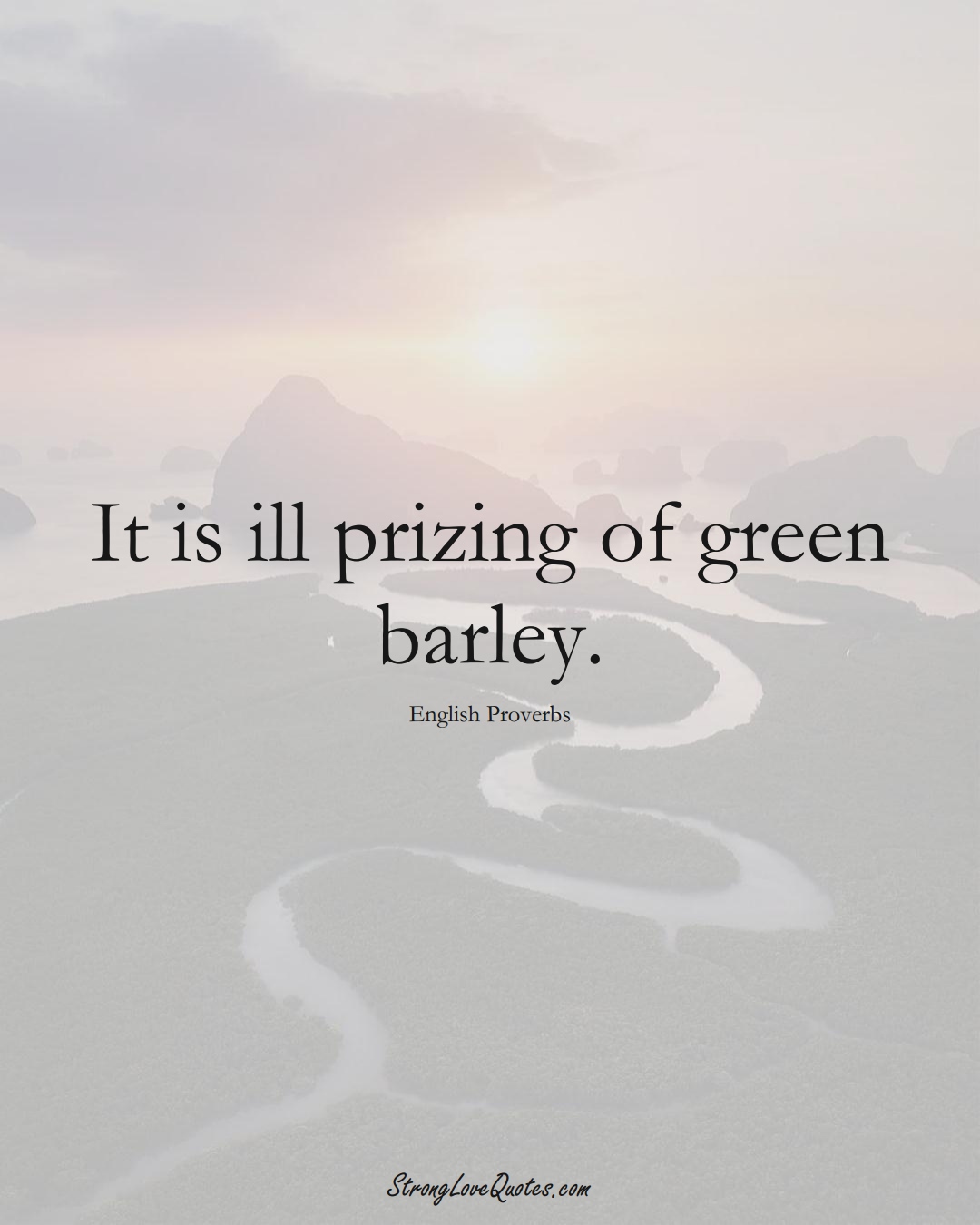 It is ill prizing of green barley. (English Sayings);  #EuropeanSayings