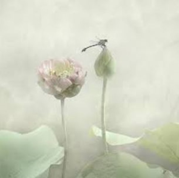 clip_image007