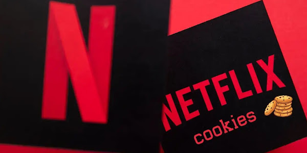 How to Login to Netflix with Cookie