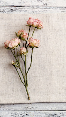 Gambar bunga mawar pink di meja