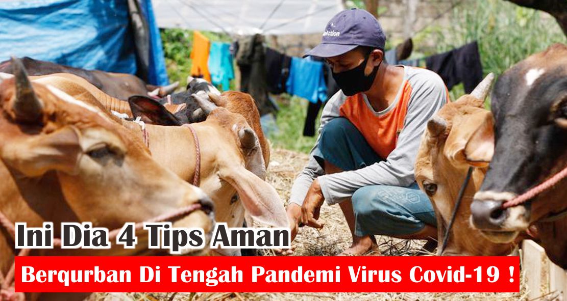 Ini Dia 4 Tips Aman Berqurban Di Tengah Pandemi Virus Covid-19