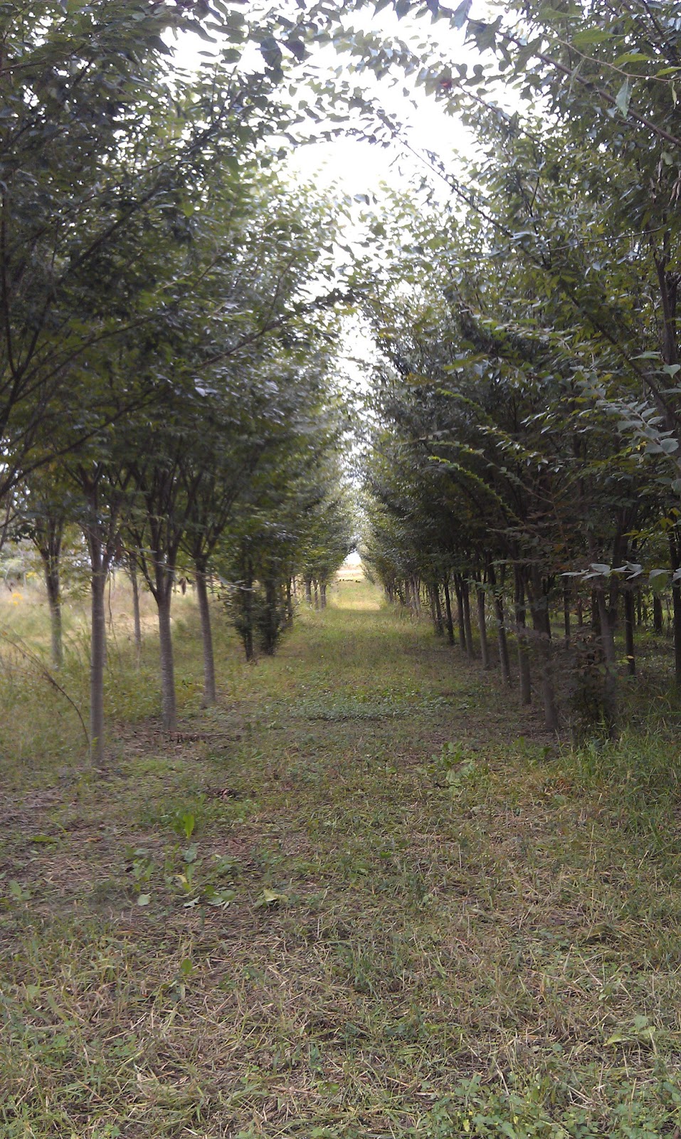 Landscaping Jobs In Nc Landscaping Jobs In Nc