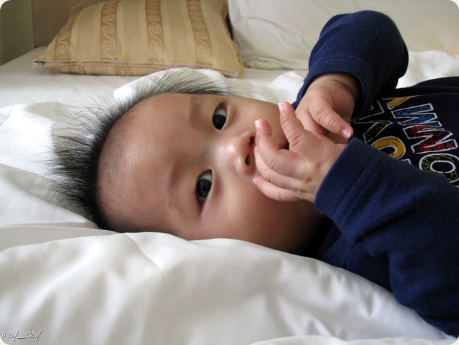IMG_0979_edited-2