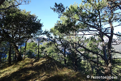 Ruta circular al Martanyà passant per sant Aniol d'Aguja i Talaixà