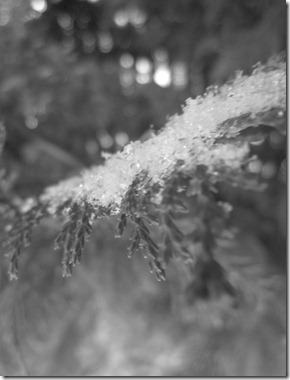 Hershey Kisses-Snow 013