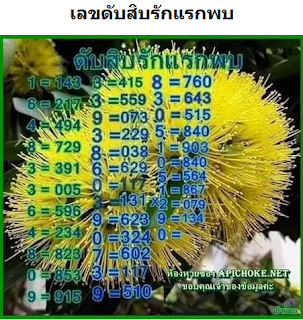 หวยพลัส huayplus เจด ยี่กี่ หวยลาว หวยฮานอย หวยรัฐบาล หวยหุ้น หวยออนไลน์